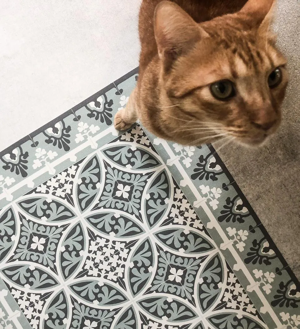 Barcelona Meadow Vinyl Rug