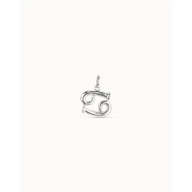 Cancer Silver Metal Charm