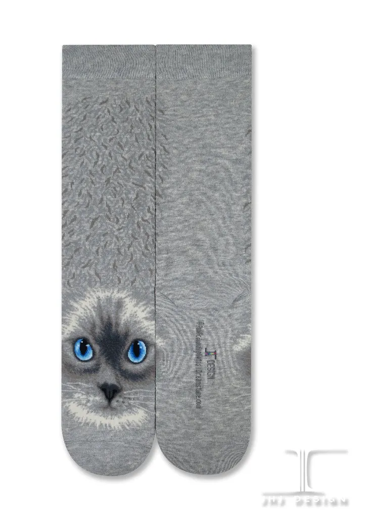 Cats - Ragdoll cat face