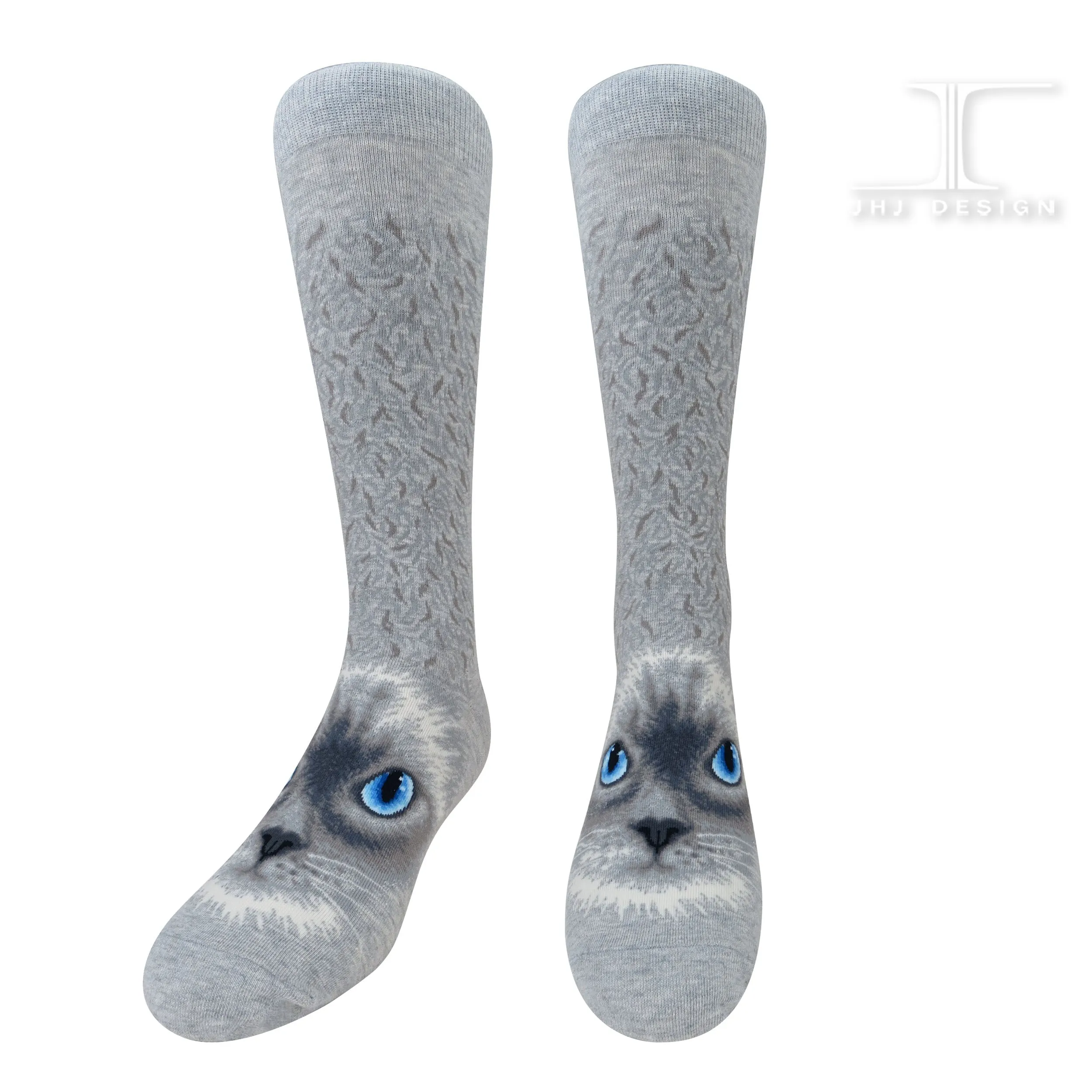 Cats - Ragdoll cat face