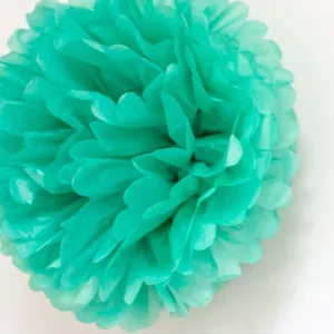 Paper Pom Pom Mint